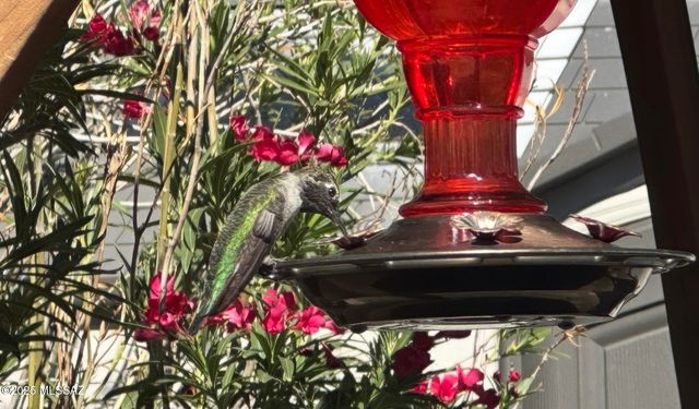 8807 E Mountain Spring Drive, Tucson, AZ 85747