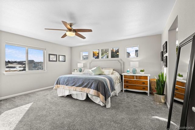 4469 Mcmurdo Court, Castle Rock, CO 80108