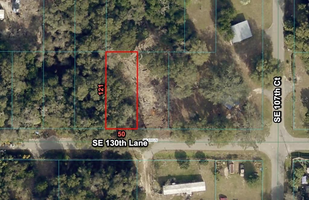 10691 SE 130 LANE, Ocklawaha, FL 32179
