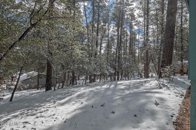 3741 N Cochise Lane, Pine, AZ 85544