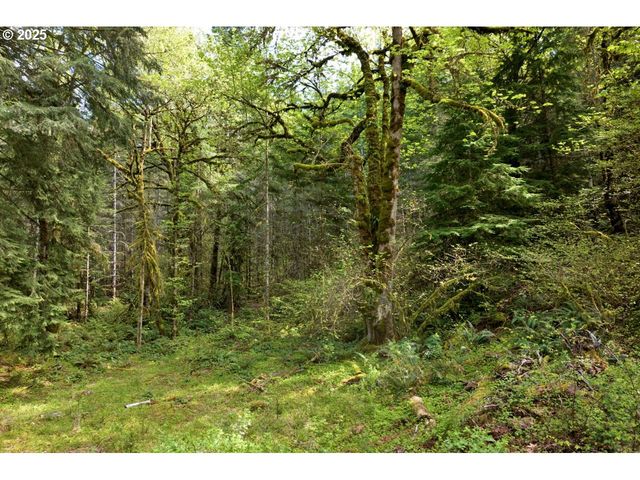 Boscage, Springfield, OR 97478