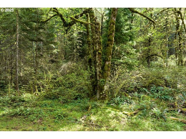 Boscage, Springfield, OR 97478