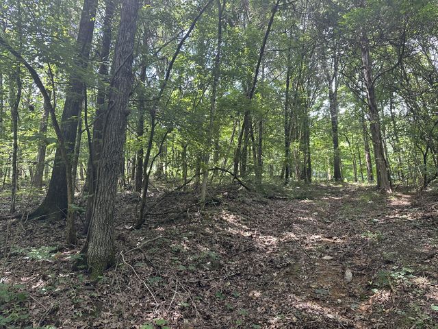 0 Shelbyville Hwy, Fayetteville, TN 37334