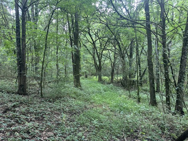 0 Shelbyville Hwy, Fayetteville, TN 37334