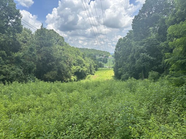 0 Shelbyville Hwy, Fayetteville, TN 37334