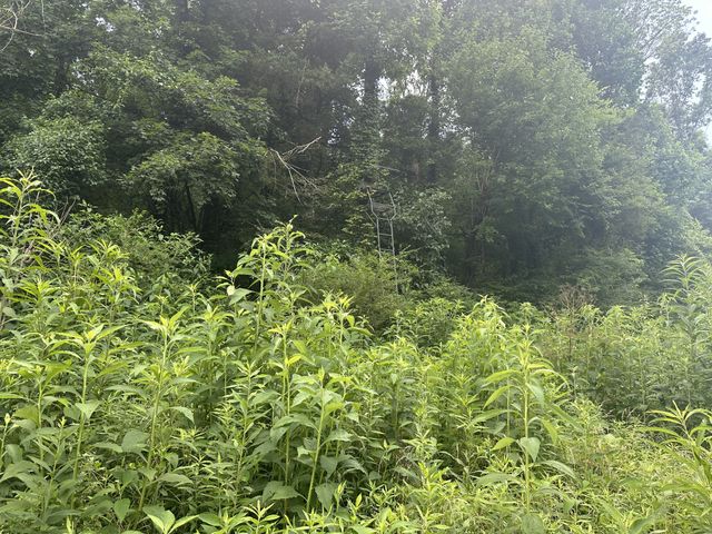 0 Shelbyville Hwy, Fayetteville, TN 37334
