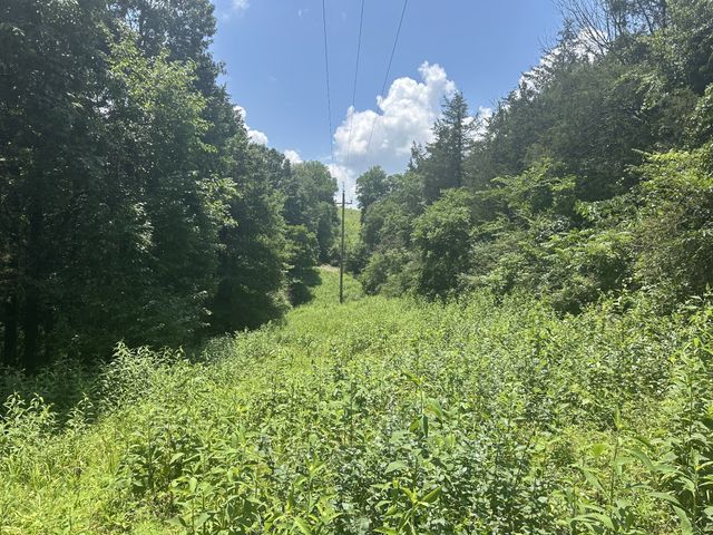 0 Shelbyville Hwy, Fayetteville, TN 37334