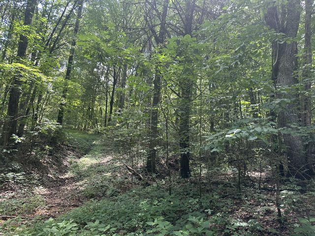 0 Shelbyville Hwy, Fayetteville, TN 37334