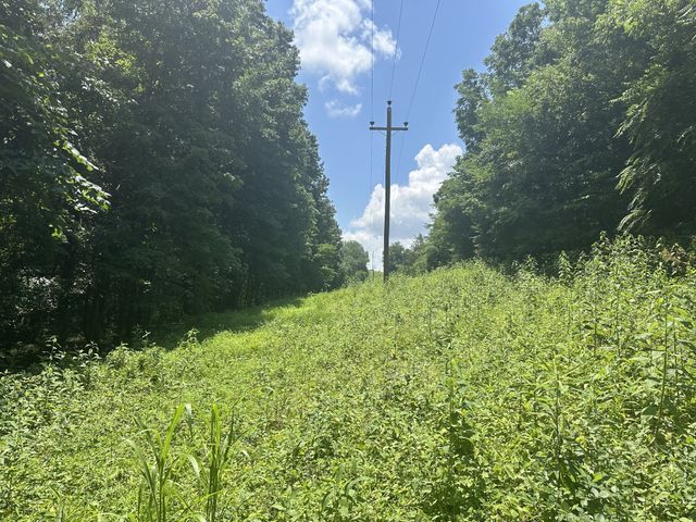 0 Shelbyville Hwy, Fayetteville, TN 37334