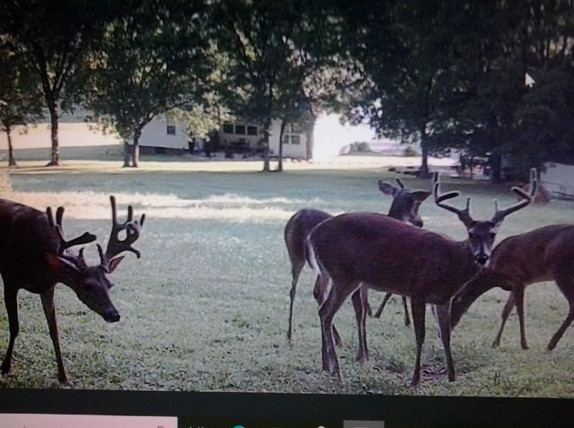 0 Shelbyville Hwy, Fayetteville, TN 37334