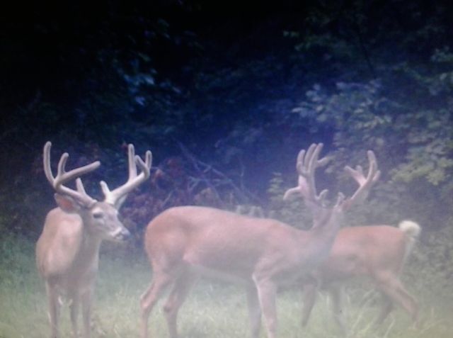 0 Shelbyville Hwy, Fayetteville, TN 37334
