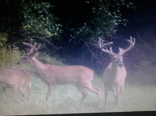 0 Shelbyville Hwy, Fayetteville, TN 37334