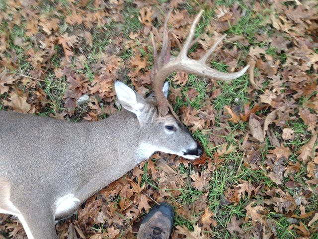 0 Shelbyville Hwy, Fayetteville, TN 37334