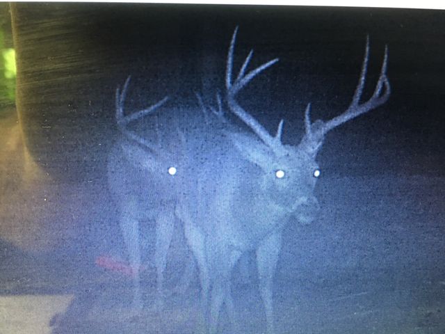0 Shelbyville Hwy, Fayetteville, TN 37334