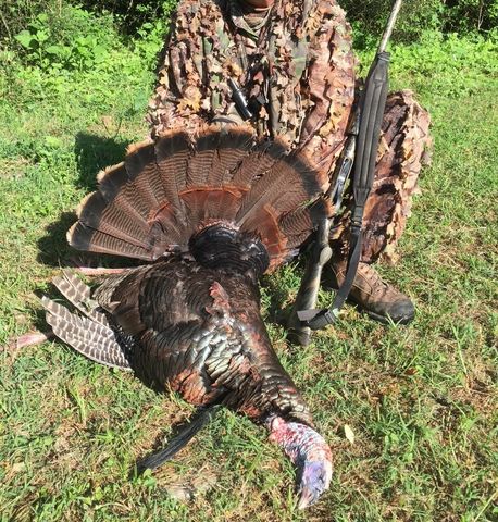 0 Shelbyville Hwy, Fayetteville, TN 37334