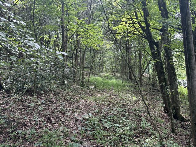 0 Shelbyville Hwy, Fayetteville, TN 37334