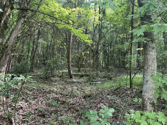 0 Shelbyville Hwy, Fayetteville, TN 37334
