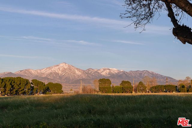 25358 Lawton Avenue, Loma Linda, CA 92354