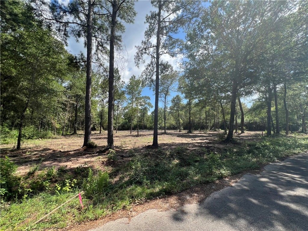 TBD Lot 3 Deerwood Drive, Plantersville, TX 77363 — photo 2