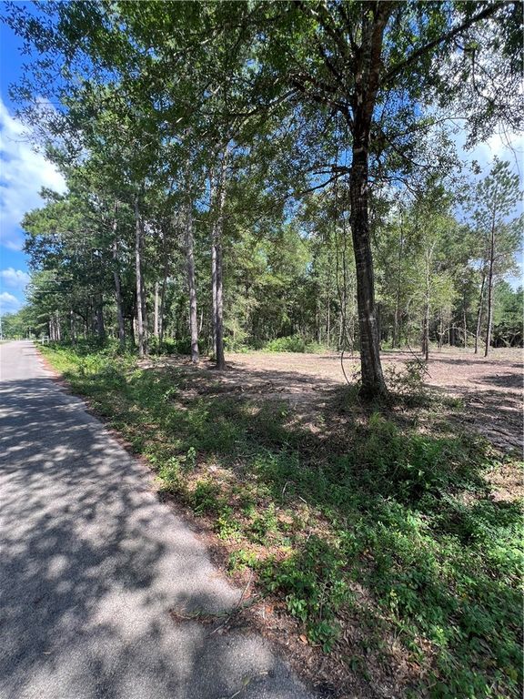 TBD Lot 3 Deerwood Drive, Plantersville, TX 77363 — photo 3