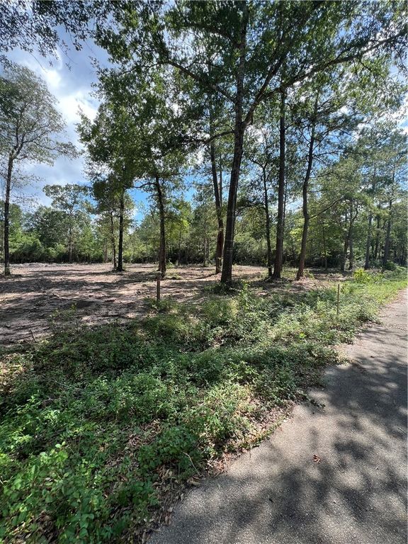 TBD Lot 3 Deerwood Drive, Plantersville, TX 77363 — photo 5