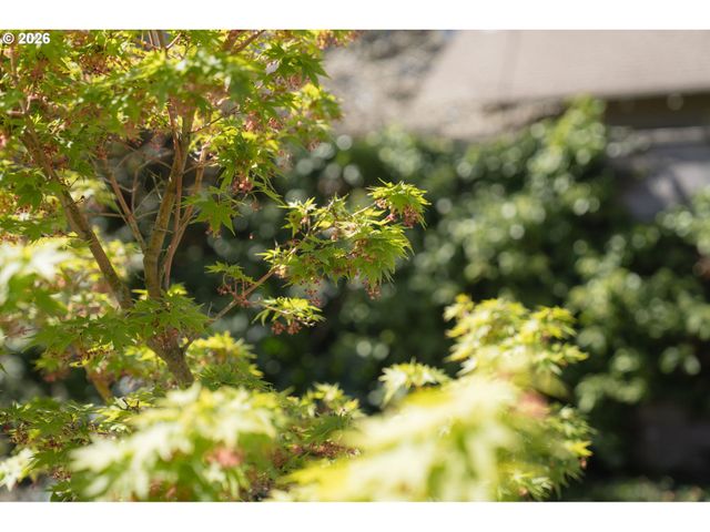 6421 N MISSISSIPPI Ave, Portland, OR 97217