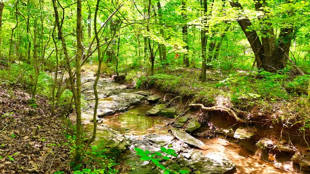 1 Dean Rd, Clarksville, TN 37040
