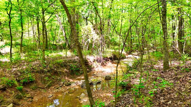1 Dean Rd, Clarksville, TN 37040