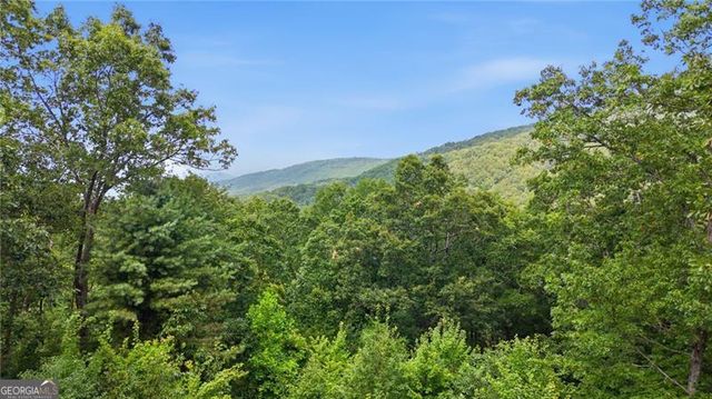 539 Dowel Circle, Ellijay, GA 30540
