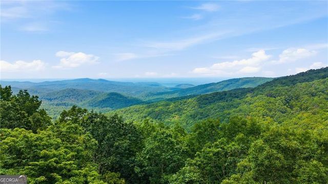 539 Dowel Circle, Ellijay, GA 30540
