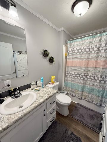 1232 Liberty Court, Mount Pleasant, MI 48858