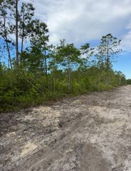 TBD Fowler School Rd., Loris, SC 29569