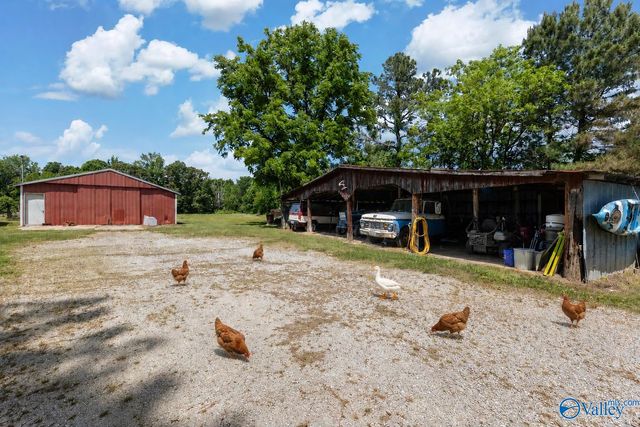 98 Johnson Road, Danville, AL 35619