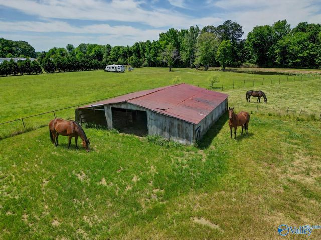 98 Johnson Road, Danville, AL 35619