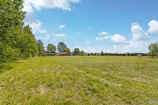 98 Johnson Road, Danville, AL 35619