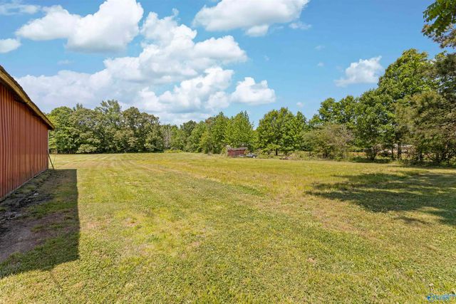98 Johnson Road, Danville, AL 35619
