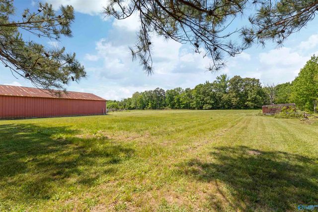 98 Johnson Road, Danville, AL 35619