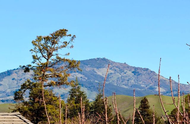 3000 Fostoria Circle, Danville, CA 94526