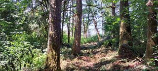 0 Loop Lot 1 Road, Centralia, WA 98531