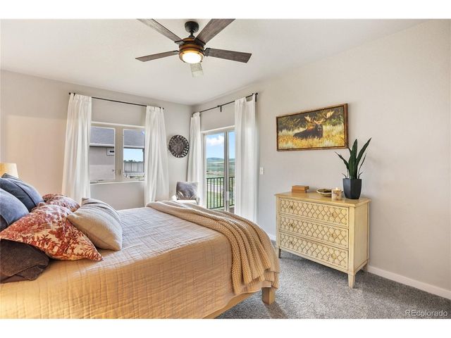 407 Meadow Park Dr, Divide, CO 80814