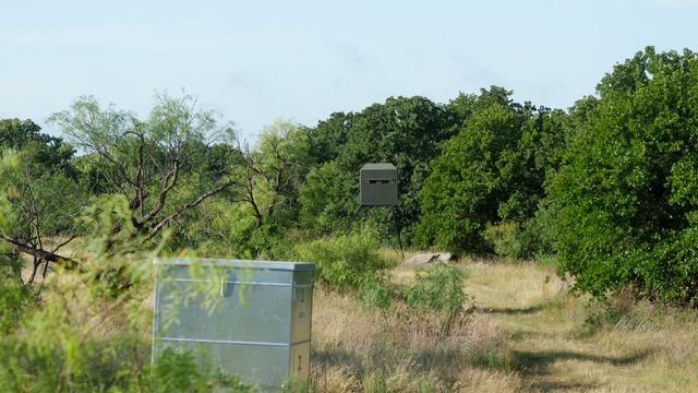 13100 US 281 North, Jacksboro, TX 76458