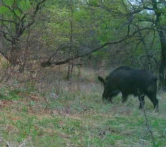 13100 US 281 North, Jacksboro, TX 76458