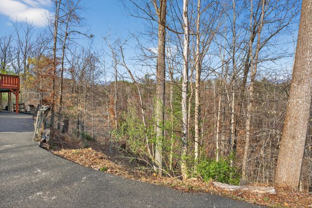 E 106 Beaver Dam CT, Goodview, VA 24095