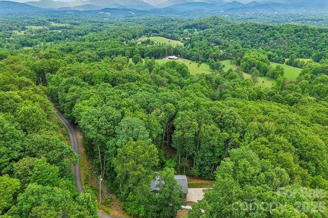 49 Wilderness Trail, Candler, NC 28715