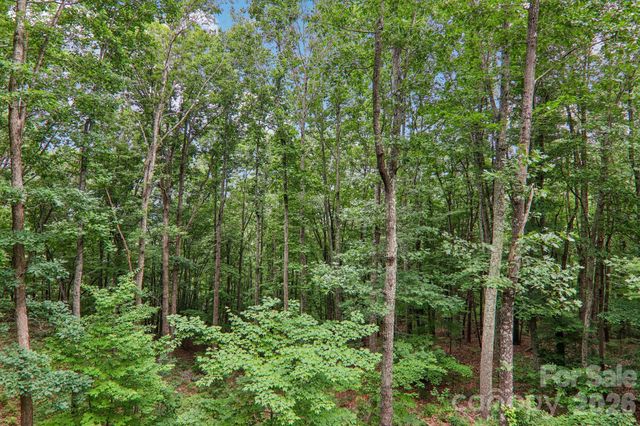 49 Wilderness Trail, Candler, NC 28715