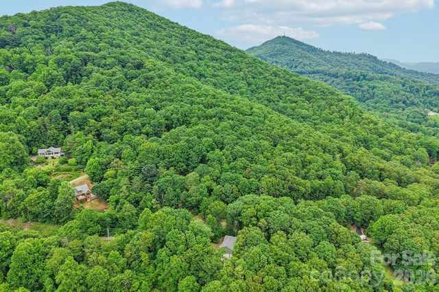 49 Wilderness Trail, Candler, NC 28715