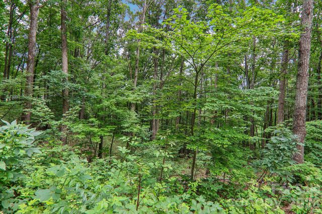49 Wilderness Trail, Candler, NC 28715