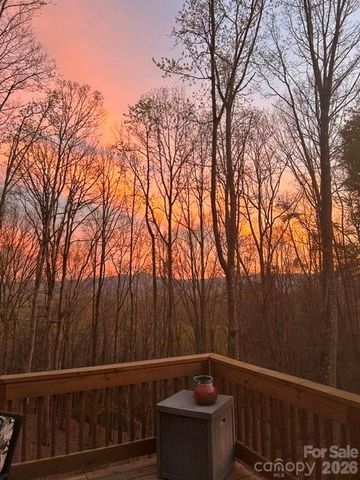 49 Wilderness Trail, Candler, NC 28715
