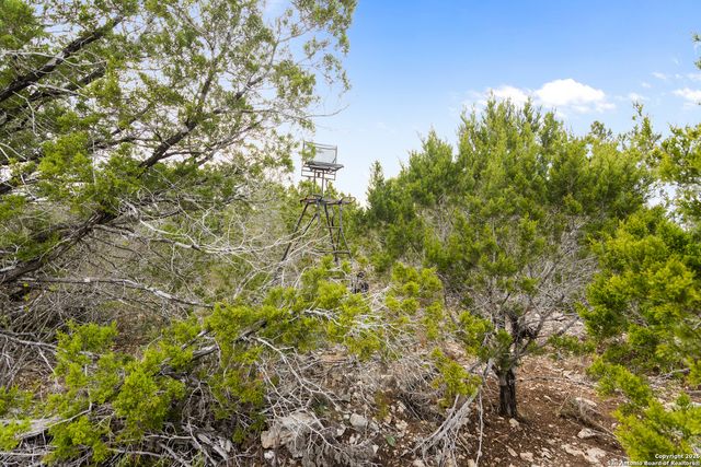 87 Mutt Road, Brackettville, TX 78832