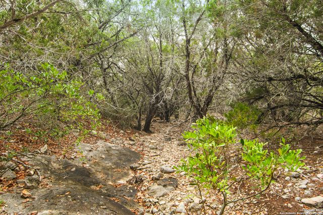 87 Mutt Road, Brackettville, TX 78832